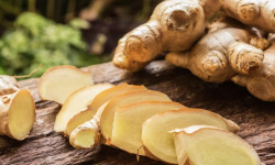 L'OLIVERAIE DU COUDON - GINGEMBRE 1KG