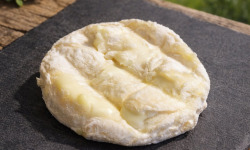 Gaec de l'Elanion - Palet Crémeux 60g