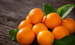 Les Jardins de Gérard - Orange Navel Bio - 3 kg