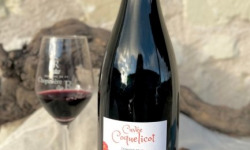 Domaine de la Chopinière du Roy - Lot de 3 Bouteilles de vin rouge Saint Nicolas de Bourgueil cuvée Coquelicot 2024 - 3 x 75 cl