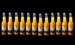 Gobert, l'abricot de 4 générations - Bulles du verger - pétillant abricot (24x33cl)