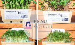 Ma Micropousse culinaire - Pack Peau radieuse (tournesol, radis, brocoli, kale) 200g