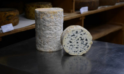 Alléosse Maitre Artisan Affineur Fromager - Fourme d'Ambert AOP