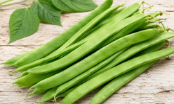 Nature et Saveurs - Ferme Aquaponique et Permacole Astérienne - Haricot plat mangetout vert — jeunes gousses < 1,5 cm