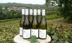 Domaine Doudeau-Leger - Sancerre Blanc AOC 2023 - 6 Bouteilles