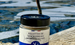 Les Huîtres du Père Gus - Rillettes de maquereau aux salicornes marinées