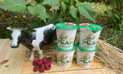 Lait Prairies du Boulonnais - Yaourt fermier brassé à la framboise x4
