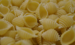 Lioravi, l'authentique pâte fraîche ! - [Précommande] Pâtes Fraîches BIO - Conchiglie 3x250g