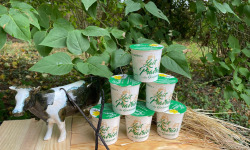 Lait Prairies du Boulonnais - Yaourt fermier brassé à la vanille x6