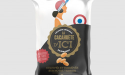 Les Tchanqués - Cacahuètes du Sud Ouest - grillées 125gr x 30