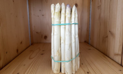 Les Asperges Perroteau - Asperges Blanches du Blayais IGP- catégorie 28/32 - 1kg