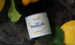 Gemelli - Gelati & Sorbetti - Sorbet Limoncello 100ml