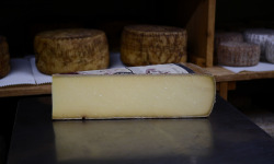 Alléosse Maitre Artisan Affineur Fromager - Comté du Jura réserve +24 mois AOP au lait cru