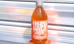 Brasserie L'Indispensable LOVEN Kombucha - Kombucha Flamingo 24 (Fraise, Pamplemousse, Verveine & Basilic) - 10x33cl