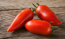 Nature et Saveurs - Ferme Aquaponique et Permacole Astérienne - Tomate Andine Cornue - Kg