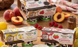 La Ferme de Blas'Lait - Lot 12 Yaourts Aromatisés Pêche Framboise Poire