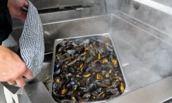 Aperibay – Les Shellfarmers épicuriens - Moules Premium AOP PAC 2kg