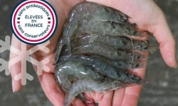 Lisaqua - Crevette française crue surgelée - 2KG - Calibre +100