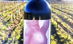 Château Jouvente - Jouvence 2019, Graves Rouge (x3 bouteilles)