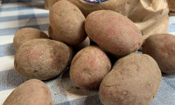 Ferme de La Tremblaye - Pommes de Terre variété "Cheyenne"