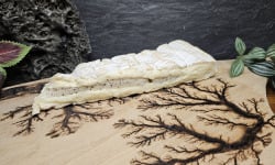 La Fermière - Brie à la truffe 250gr