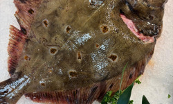 L'atelier des poissonniers - Carrelet