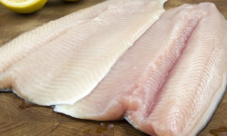 Ma poissonnière - Filet de fera lot de 800gr