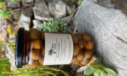 L’Oliveraie du Coudon - OLIVE ARBEQUINA EN POT 300GR