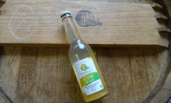 TK Bio - The Kefir et Kombucha Compagnie - Kéfir - Thé vert - Thé glacé Probiotique – 12x33cl BIO