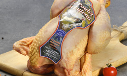 Boucherie Lefeuvre - Poulet PAC de la ferme de Luteau garanti sans antibiotiques