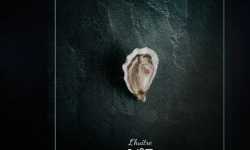 Huîtres Poget - Huîtres Spéciales l’Exquise n°5 x12
