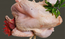 Ferme de la Paumerais - POULET EFFILE DE LA FERME (x1) - 2,2 Kg