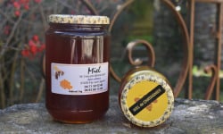 La Truite du Mézenc - Miel de Chataigner - 1kg
