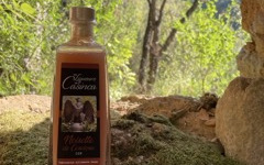 Terroirs de Corse - Liqueur Prestige Noisette