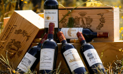 Vignobles Brunot - Box Découverte : Vins Rouges de Bordeaux, dont Saint Emilion Grand Cru - 6x75cl