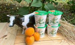 Lait Prairies du Boulonnais - Yaourt fermier brassé à l'abricot x4