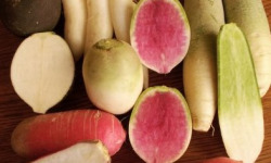 La Ferme de Goas Per - Radis d'hiver bio - 500gr