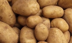 Les Jardins de Gérard - Pomme de terre Monalisa Bio - 1kg