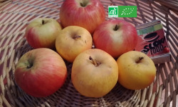 LES JARDINS DE KARINE - Pommes rouges et jaunes à croquer - 1kg