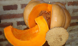 Ferme de Cernunnos - Portion de 1,5 kg de Musquée de Provence