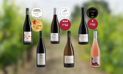 Domaine de la Chopinière du Roy - Coffret cadeau Noël découverte vins de Loire "Les 6 vins de Loire du Domaine" - 6 x 75 cl