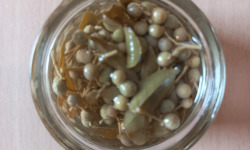 Botanist & Exception - SICHUAN en condiment