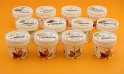 Le Jardinier Glacier - Lots de 12 Glaces végétales