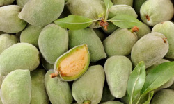 L'OLIVERAIE DU COUDON - AMANDONS D'AMANDES  – 2,5 KG