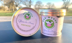 Glaces de Meuse - Lot P'tits Pots "Pistache" - Crème glacée (90gr)