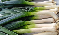 Aux Jardins des Colibris - 1kg Poireaux Bio