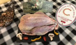 La ferme Grandvillain - [Précommande] Dinde De Noel - 2,9kg