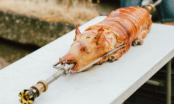 Terres EnVie - Porcelet Mangalica Bio 17 kg