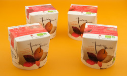 Le Jardinier Glacier - Lot de 4 Sorbets - délice de Bourgogne, fraise, framboise, griotte