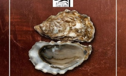 Saint Kerber - Cancale - Huîtres Fines Saint Kerber N°3 x50 (2 offertes)
